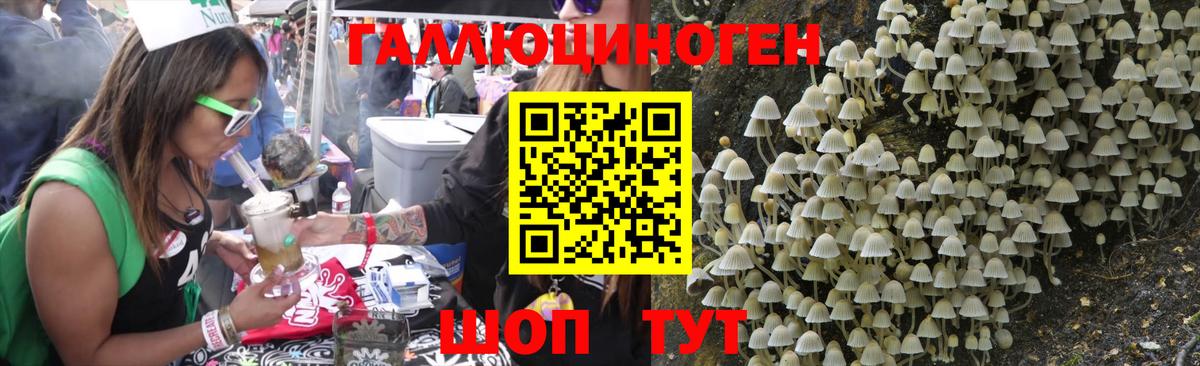 Галлюциногенные грибы мухоморы  Вход с VPN  что такое наркотик  Чапаевск  Галлюциногенные грибы прущие грибы 